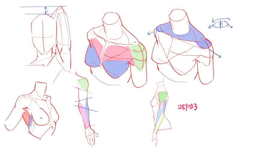 1girl, breasts, guide, highres, how_to, little_modao, original, sketch