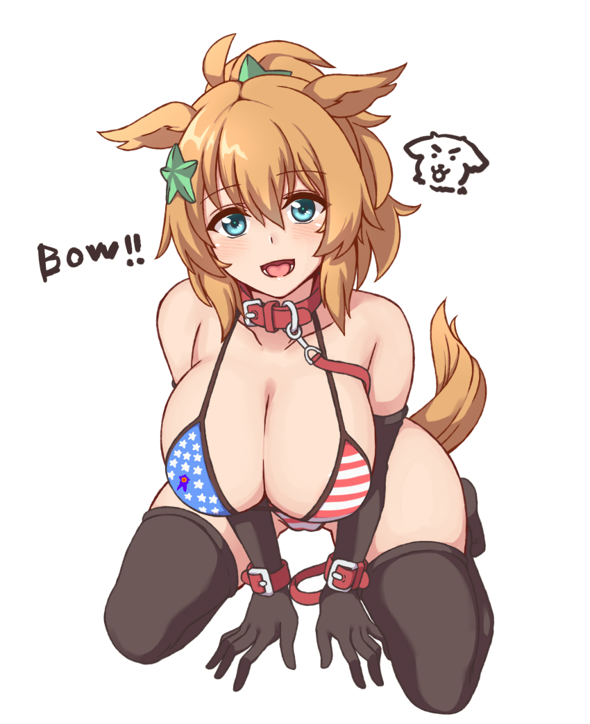 1girl, absurdres, all_fours, alternate_costume, american_flag, american_flag_bikini, american_flag_print, animal_collar, animal_ears, bikini, black_gloves, black_thighhighs, blonde_hair, blue_eyes, blush, breasts, cleavage, collar, commentary_request, english_text, flag_print, flag_print_bikini, gloves, hair_between_eyes, hair_ornament, hakutaqanta, highres, horse_ears, horse_girl, horse_tail, large_breasts, leash, long_hair, looking_at_viewer, open_mouth, pet_play, ponytail, print_bikini, red_collar, simple_background, smile, solo, star_(symbol), star_hair_ornament, swimsuit, taiki_shuttle_(umamusume), tail, thighhighs, thighs, tongue, umamusume, white_background, yellow_tail