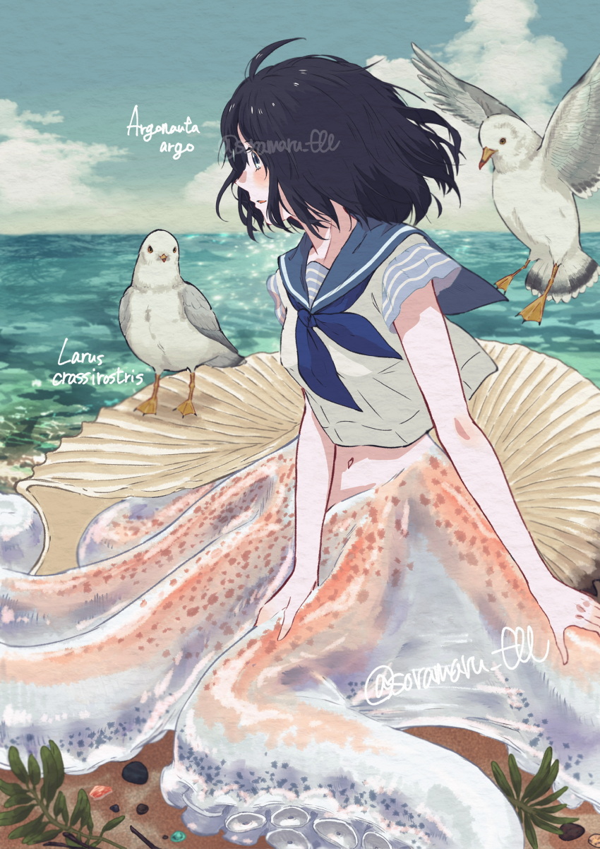 1girl, 2others, ahoge, back_hair, beach, bird, blue_eyes, blue_sailor_collar, cloud, cloudy_sky, day, english_text, hand_on_own_tentacles, highres, horizon, looking_to_the_side, monster_girl, multiple_others, navel, neckerchief, ocean, original, outdoors, paper_texture, sailor_collar, sailor_shirt, scientific_name, seabird, seagull, shell, shirt, short_hair, sitting, sky, solo_focus, soramaru_ell, suction_tentacles, tentacles, water