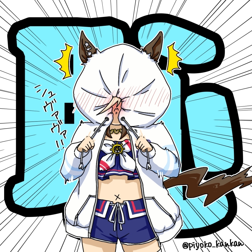 1girl, animal_ears, bikini, blue_bikini, blue_swim_trunks, brown_hair, cheval_grand_(summer_calm_navy_drop)_(umamusume), cheval_grand_(umamusume)