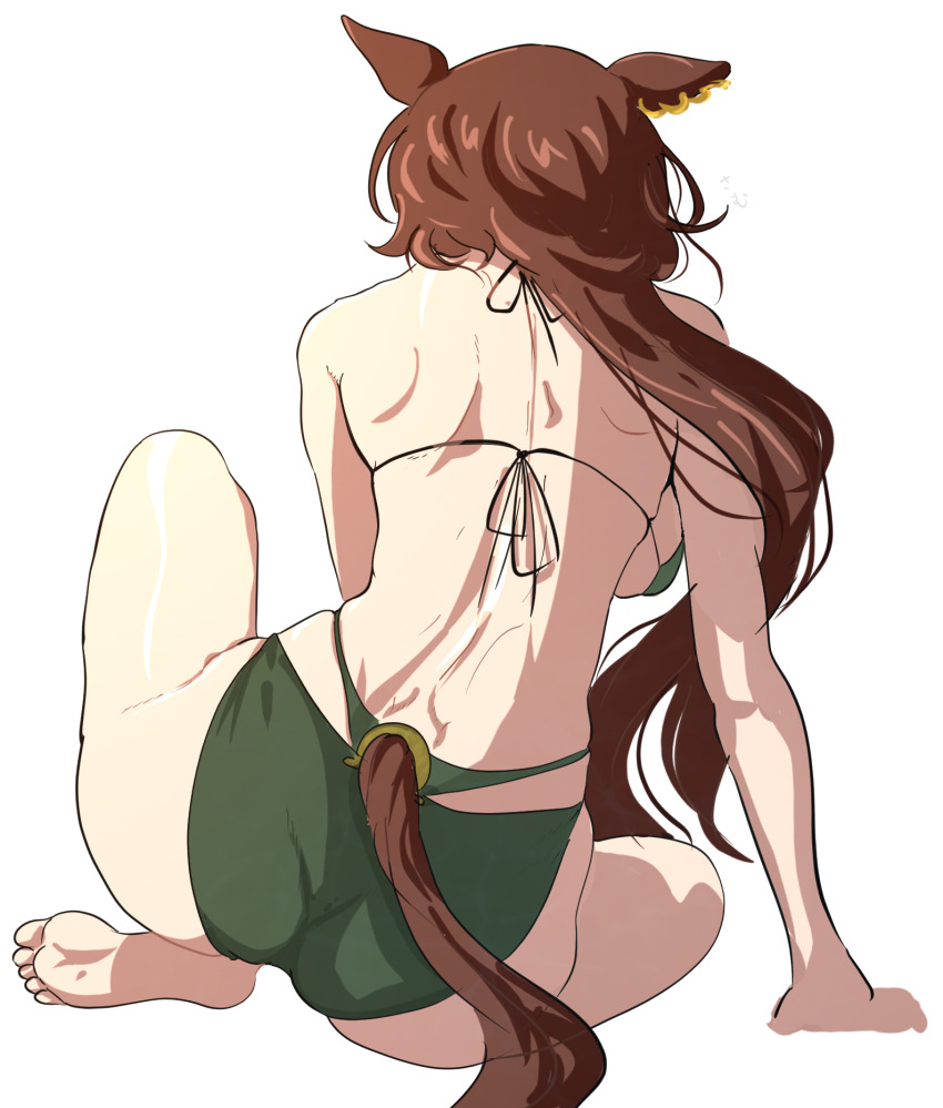 1girl, animal_ears, ass, back, barefoot, bikini, breasts, brown_hair