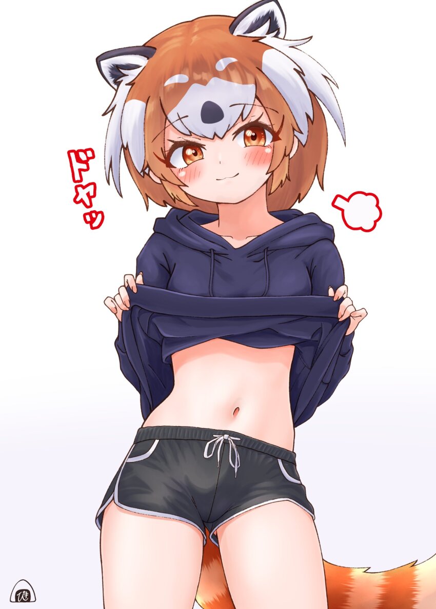 1girl, :3, black_hair, black_shorts, blue_hoodie, blue_sweater, blush, clothes_lift, collarbone, cowboy_shot, dolphin_shorts, extra_ears, hair_between_eyes, highres, hood, hood_down, hoodie, kemono_friends, midriff, multicolored_hair, nail_polish, navel, orange_eyes, orange_hair, piki_(zuru-pikio), pink_nails, puff_of_air, red_panda_(kemono_friends), red_panda_ears, red_panda_girl, red_panda_tail, short_shorts, shorts, sidelocks, smile, solo, sweater, sweater_lift, white_hair, white_trim
