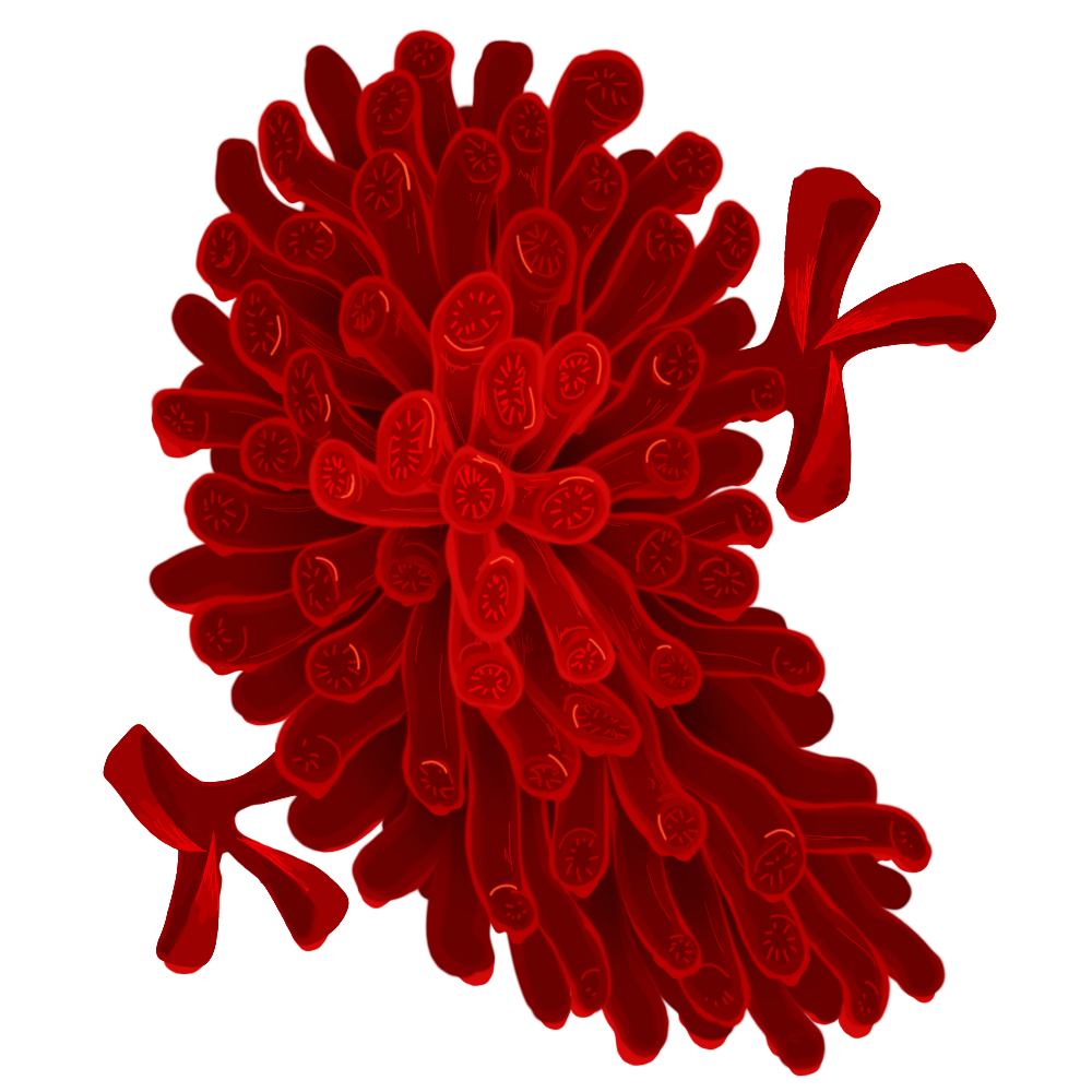 call_of_cthulhu, commentary_request, cthulhu_mythos, extra_mouth, mixed-language_commentary, monster, no_humans, sharp_teeth, simple_background, slash_sai_430, solo, star_vampire, teeth, white_background