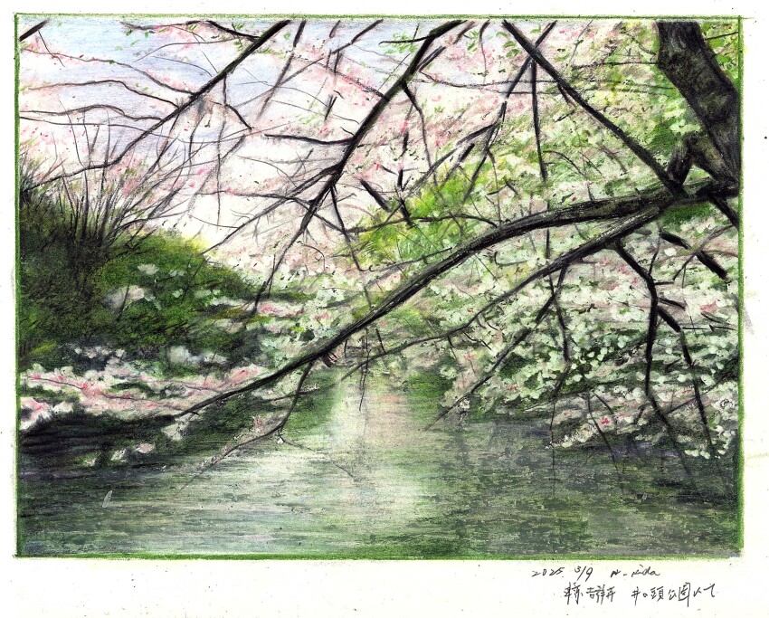 baden_hiroshi, border, cherry_blossoms, colored_pencil_(medium), commentary_request, dated, day, highres