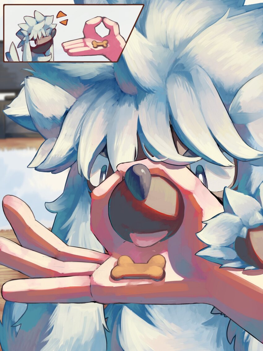 1other, animal_focus, dog, dog_treat, furfrou, furfrou_(natural), gen_6_pokemon, highres