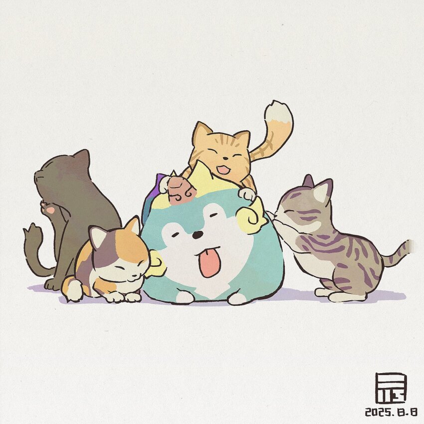 :p, animal, animal_focus, cat, closed_eyes, closed_mouth, commentary_request, dated