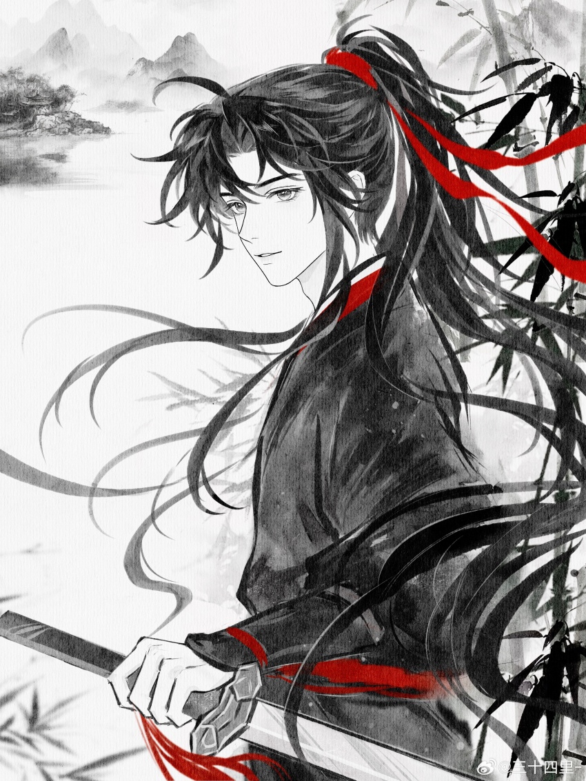 1boy, absurdres, ahoge, bamboo, bishounen, black_hair, black_hanfu, chinese_clothes