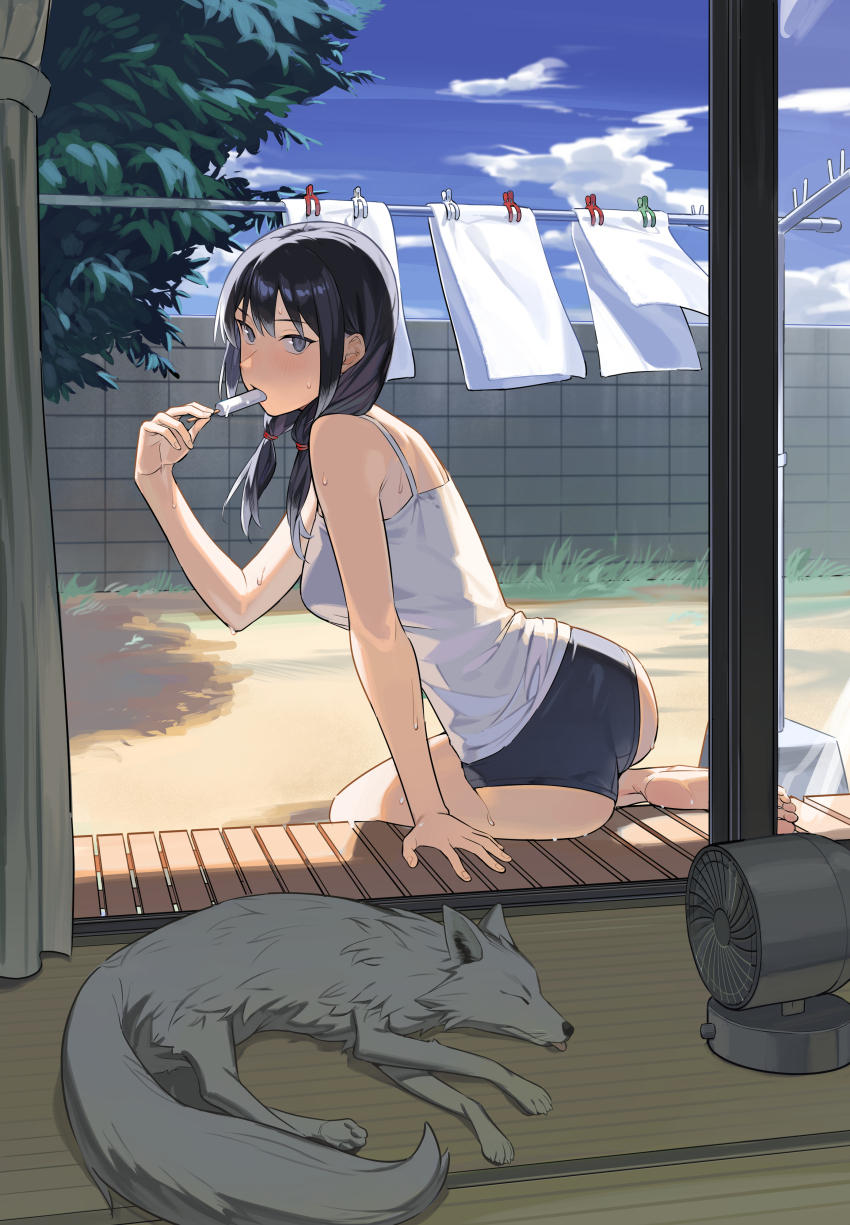 1girl, absurdres, animal, barefoot, black_hair, black_panties, blue_sky, camisole, clothes_pin, cloud, commentary, day, electric_fan, food, food_in_mouth, fox, from_inside, grey_eyes, highres, holding, holding_food, holding_popsicle, laundry, laundry_pole, looking_at_viewer, looking_inside, low_twintails, no_pants, original, panties, popsicle, popsicle_in_mouth, sky, solo, summer, sweat, tebasaki_gitsune, twintails, underwear, veranda, white_camisole
