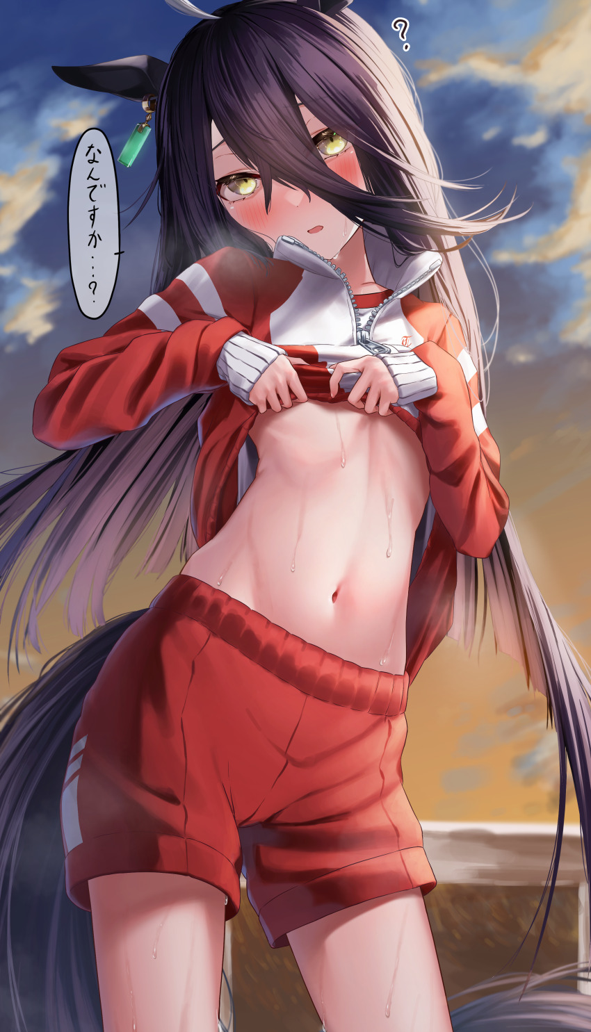 1girl, ?, absurdres, animal_ears, black_hair, cloud, commentary_request, evening