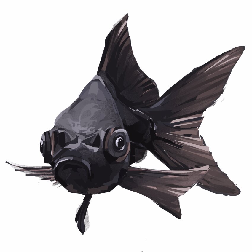 animal, animal_focus, black_goldfish, commentary, english_commentary, fish, full_body, goldfish