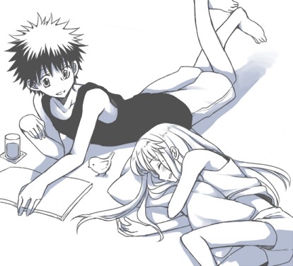 bird, book, glass, index_(toaru_majutsu_no_index), kamijou_touma, long_hair, lowres, lying