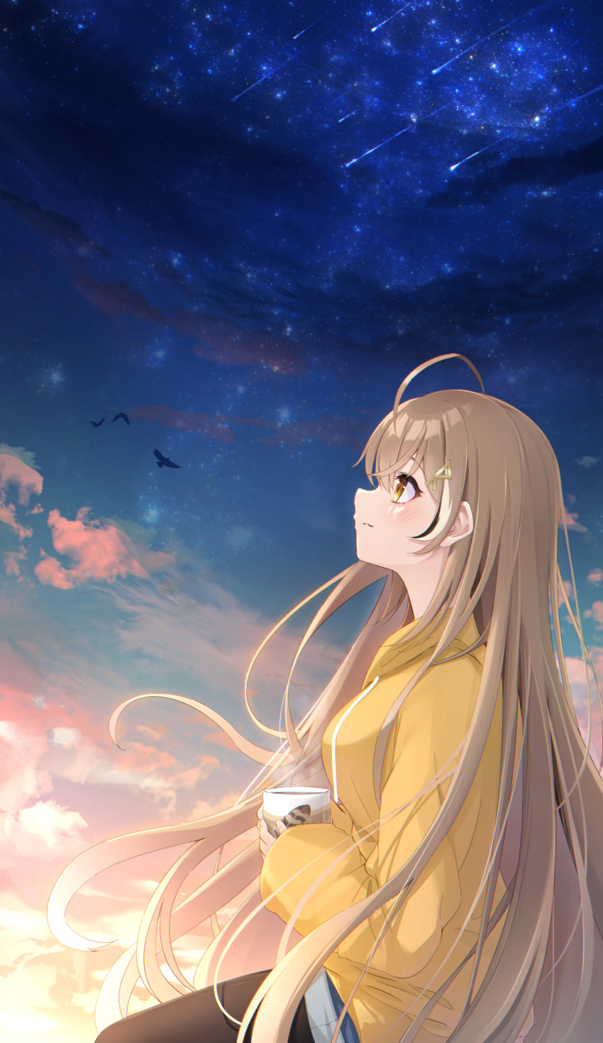 1girl, ahoge, alternate_costume, bird, brown_eyes, brown_hair, cloud, cloudy_sky