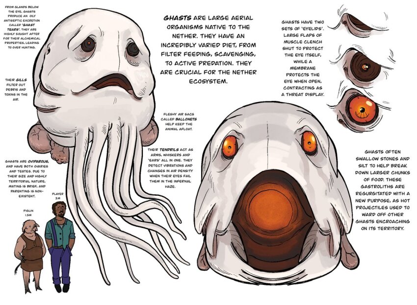 biology, commentary, creature, creature_focus, english_commentary, english_text, ghast, gills