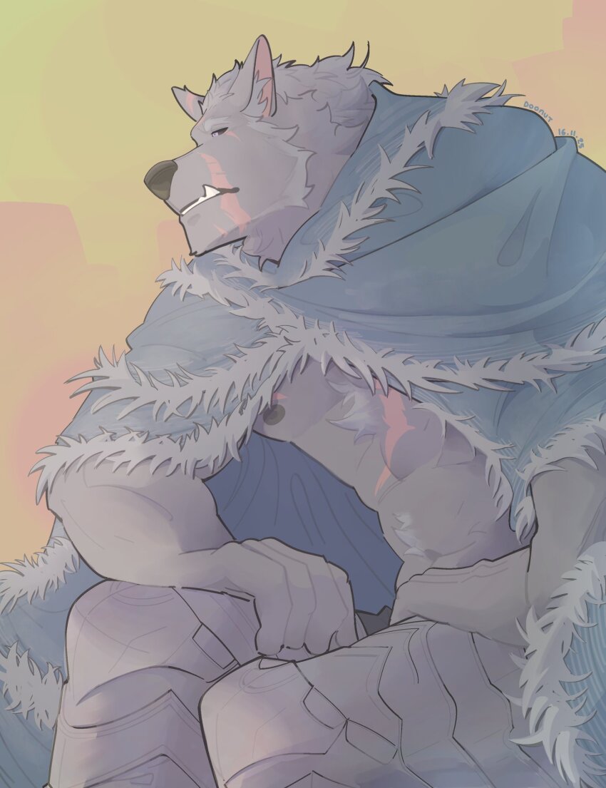 1boy, abs, animal_ears, bara, black_fur, blaidd_the_half-wolf, blue_cape, cape