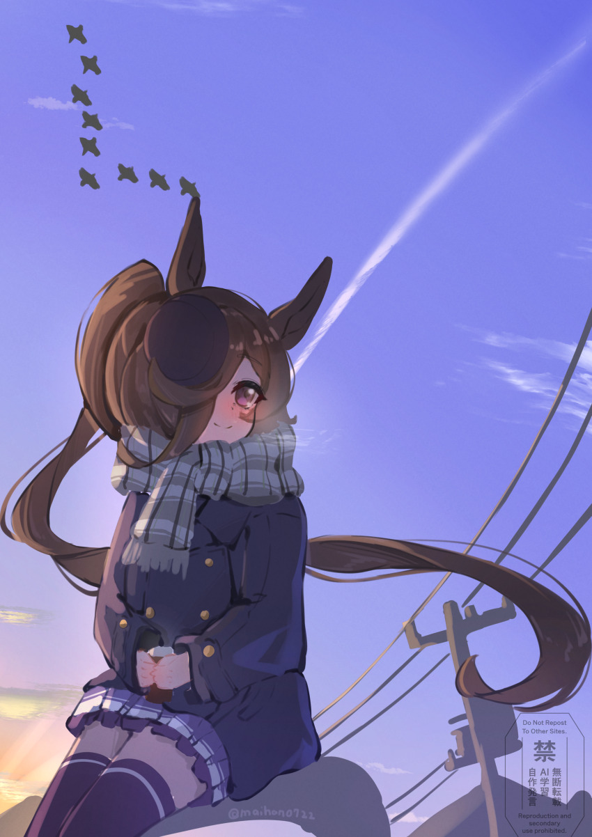 1girl, absurdres, alternate_hairstyle, animal_ears, bird, blue_coat, blue_hat, blue_sky