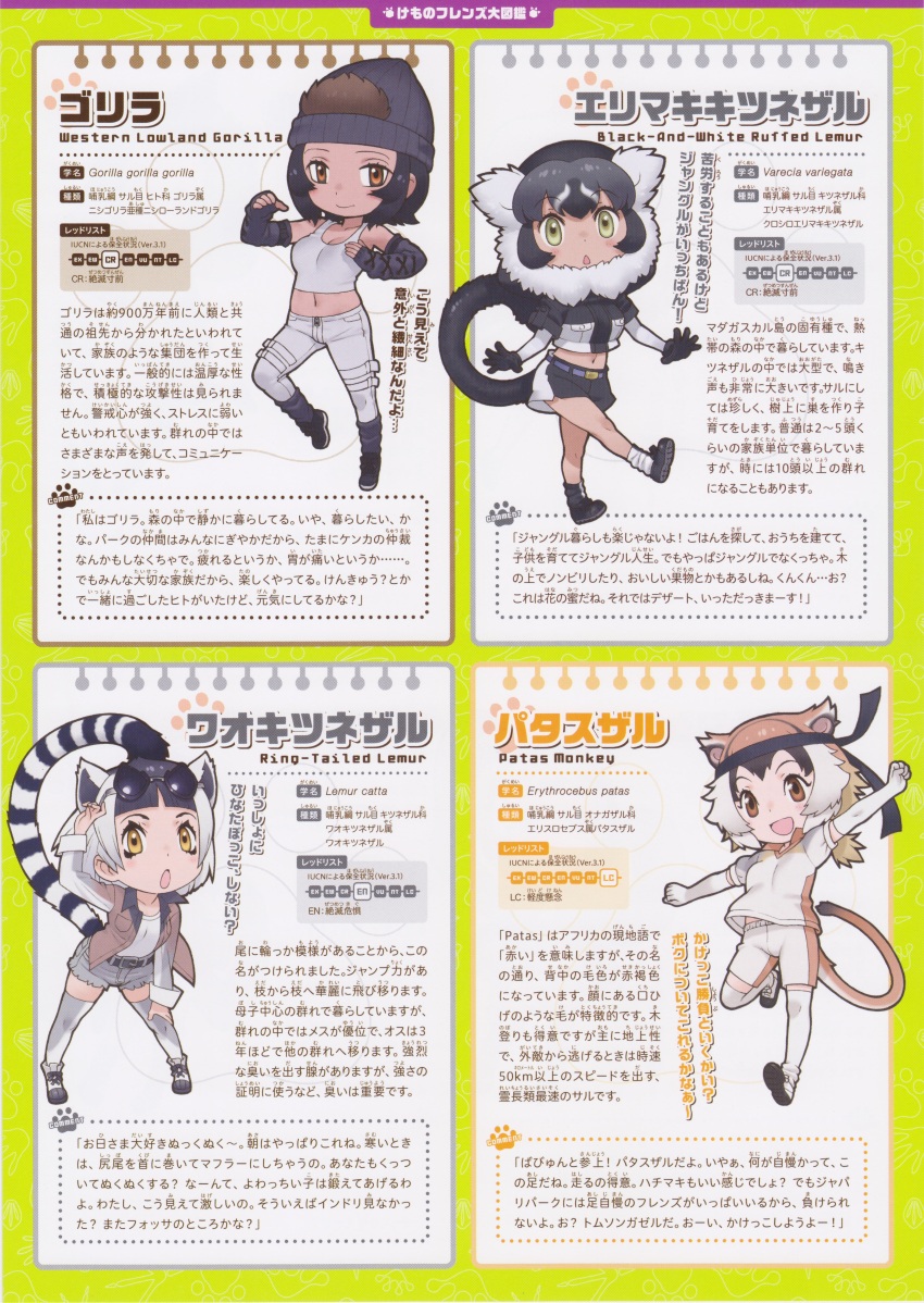 4girls, absurdres, full_body, highres, kemono_friends, kemono_friends_2, looking_at_viewer, multiple_girls, official_art, patas_monkey_(kemono_friends), ring-tailed_lemur_(kemono_friends), ruffed_lemur_(kemono_friends), simple_background, western_lowland_gorilla_(kemono_friends), yoshizaki_mine