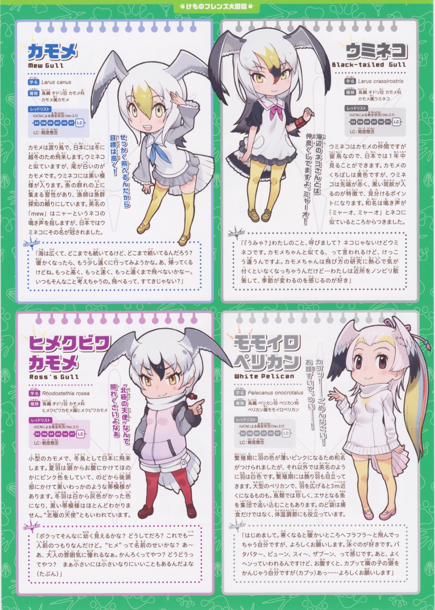 4girls, absurdres, black-tailed_gull_(kemono_friends), common_gull_(kemono_friends), full_body, great_white_pelican_(kemono_friends), highres, kemono_friends