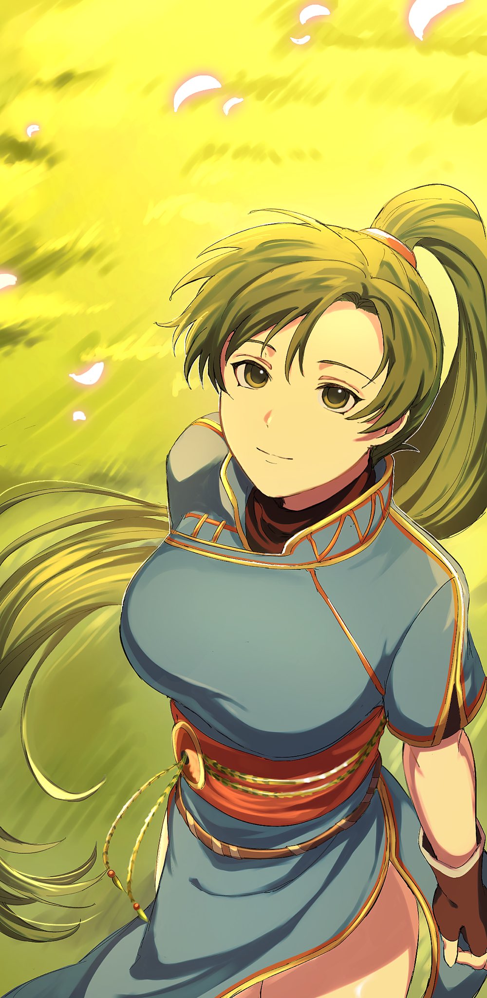 1girl, blue_dress, breasts, brown_gloves, closed_mouth, dress, fingerless_gloves, fire_emblem, fire_emblem:_the_blazing_blade, gloves, golden_hour, grass, green_eyes, green_hair, high_ponytail, highres, large_breasts, long_hair, looking_at_viewer, looking_up, lyn_(fire_emblem), mimummom, nintendo, outdoors, pelvic_curtain, ponytail, rope_belt, side_slit, smile, solo, thighs, undershirt, very_long_hair
