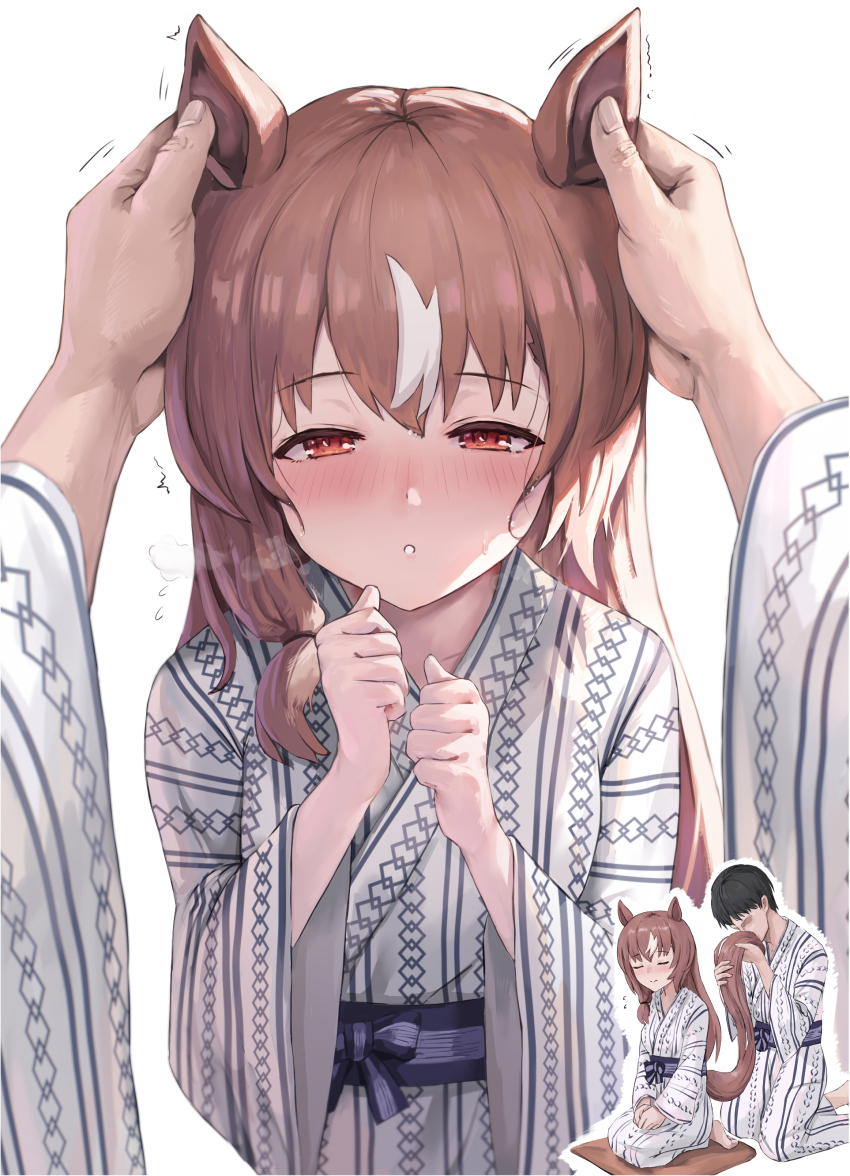 1boy, 1girl, absurdres, animal_ears, bath_yukata, black_hair, blush, brown_hair, closed_eyes, commentary_request, embarrassed, hand_on_another's_ear, highres, horse_ears, horse_girl, horse_tail, japanese_clothes, kimono, kyuu_ichijiku, long_hair, looking_at_viewer, multicolored_hair, pov, red_eyes, short_hair, smelling, smelling_tail, still_in_love_(umamusume), streaked_hair, tail, umamusume, yukata