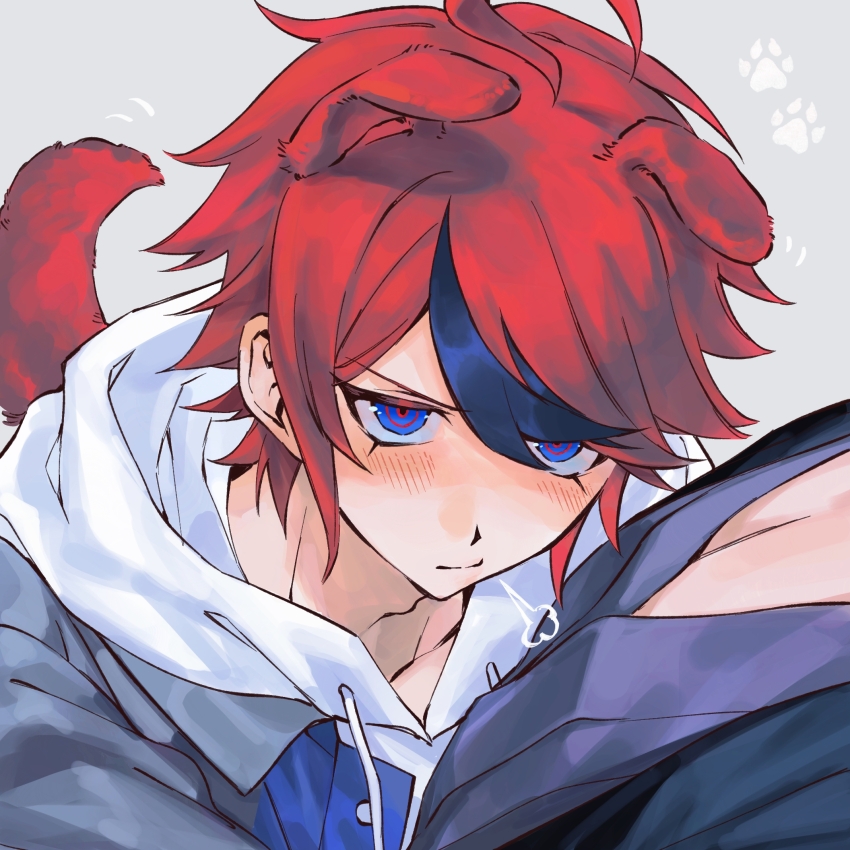 2boys, animal_ears, black_hair, black_haori, blue_eyes, blush, chinese_commentary, closed_mouth