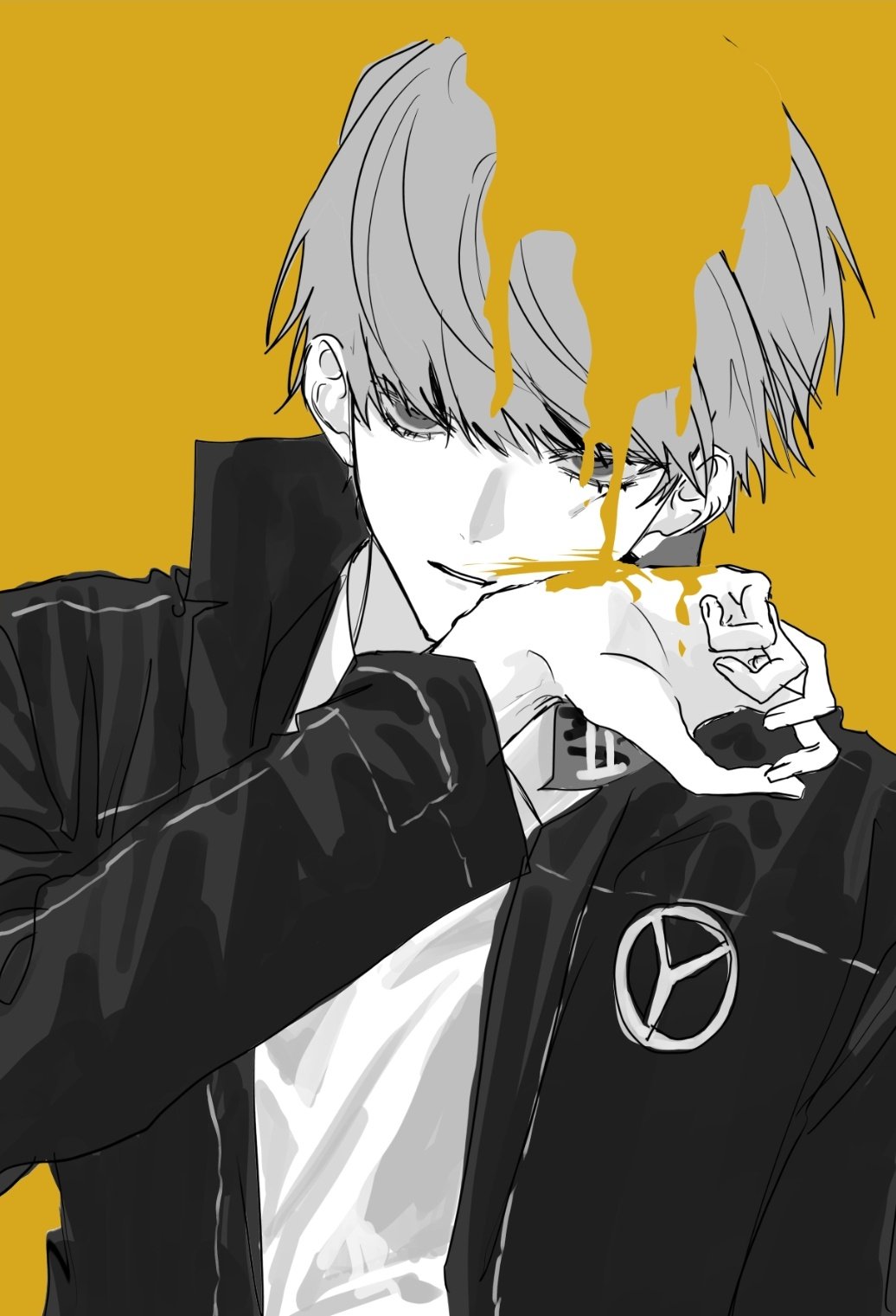 1boy, arm_at_side, black_jacket, blending, grey_eyes, grey_hair, hand_up, high_collar