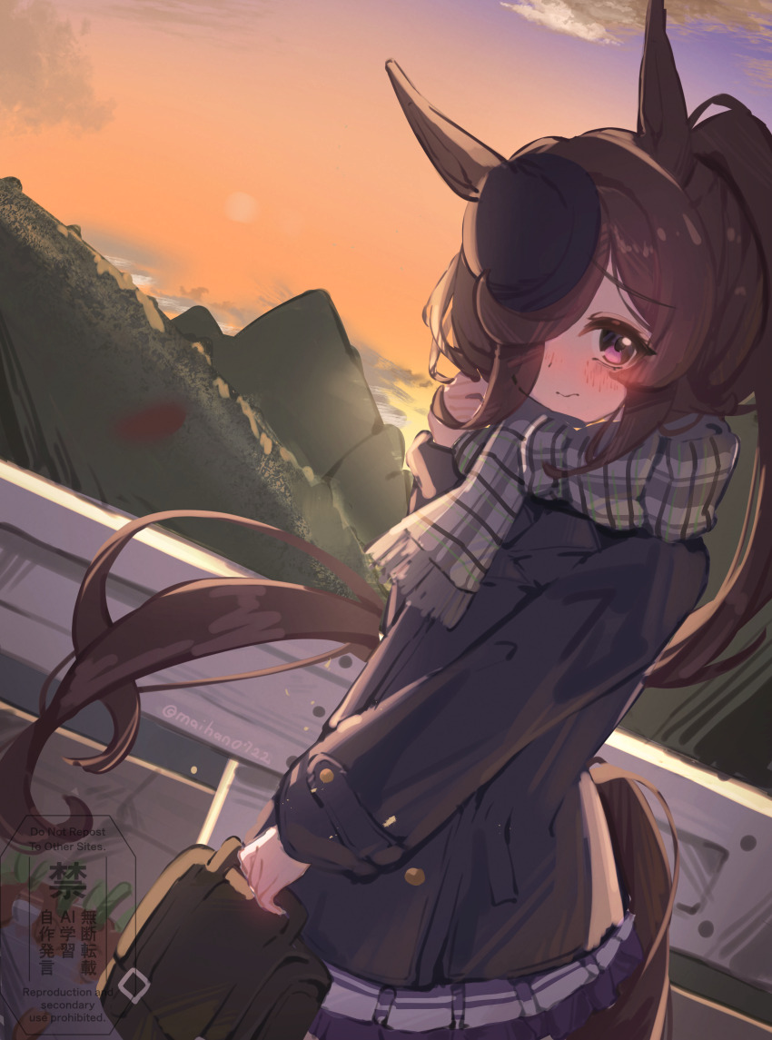 1girl, absurdres, animal_ears, bag, blue_coat, blue_hat, blush, brown_hair