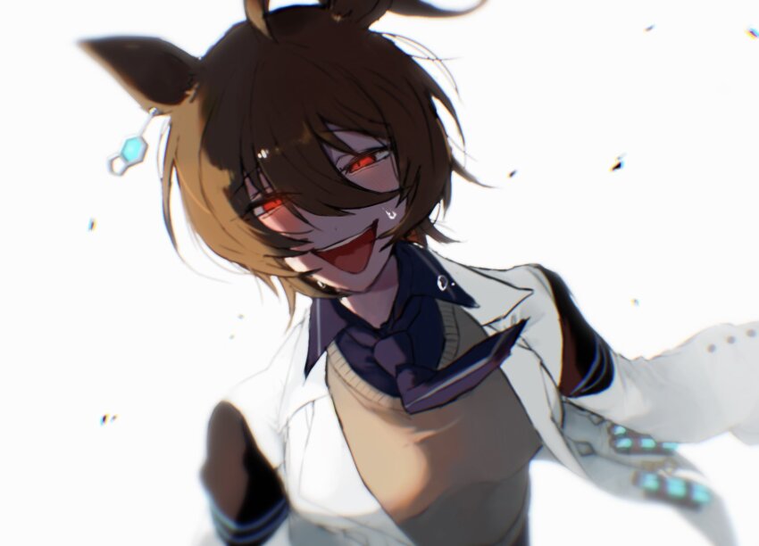 1girl, agnes_tachyon_(umamusume), animal_ears, blush, breasts, brown_hair, coat, collared_shirt