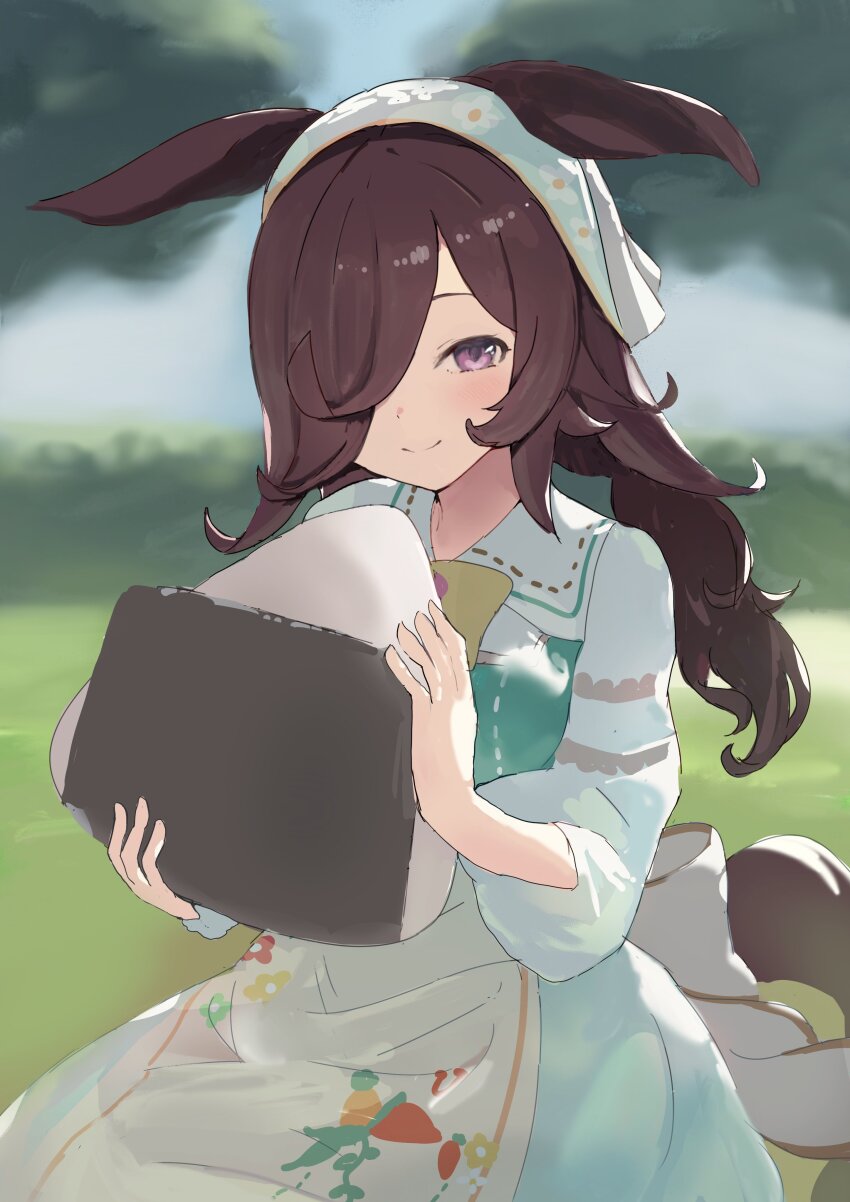 1girl, absurdres, animal_ears, apron, blush, brown_hair, closed_mouth, commentary_request, dress, flipped_hair, food, hair_over_one_eye, headscarf, highres, holding, holding_food, horse_ears, horse_girl, horse_tail, long_hair, looking_at_viewer, low_twintails, official_alternate_costume, official_alternate_hairstyle, onigiri, oversized_food, oversized_object, puritan_collar, purple_eyes, rice_shower_(umamusume), rice_shower_(yummy_dreamy_fairy)_(umamusume), smile, solo, tail, takinii, twintails, umamusume