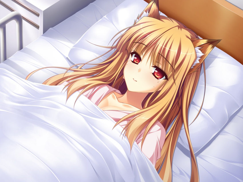 1girl, animal_ears, bed, blonde_hair, blush, breasts, female_focus, fox_ears
