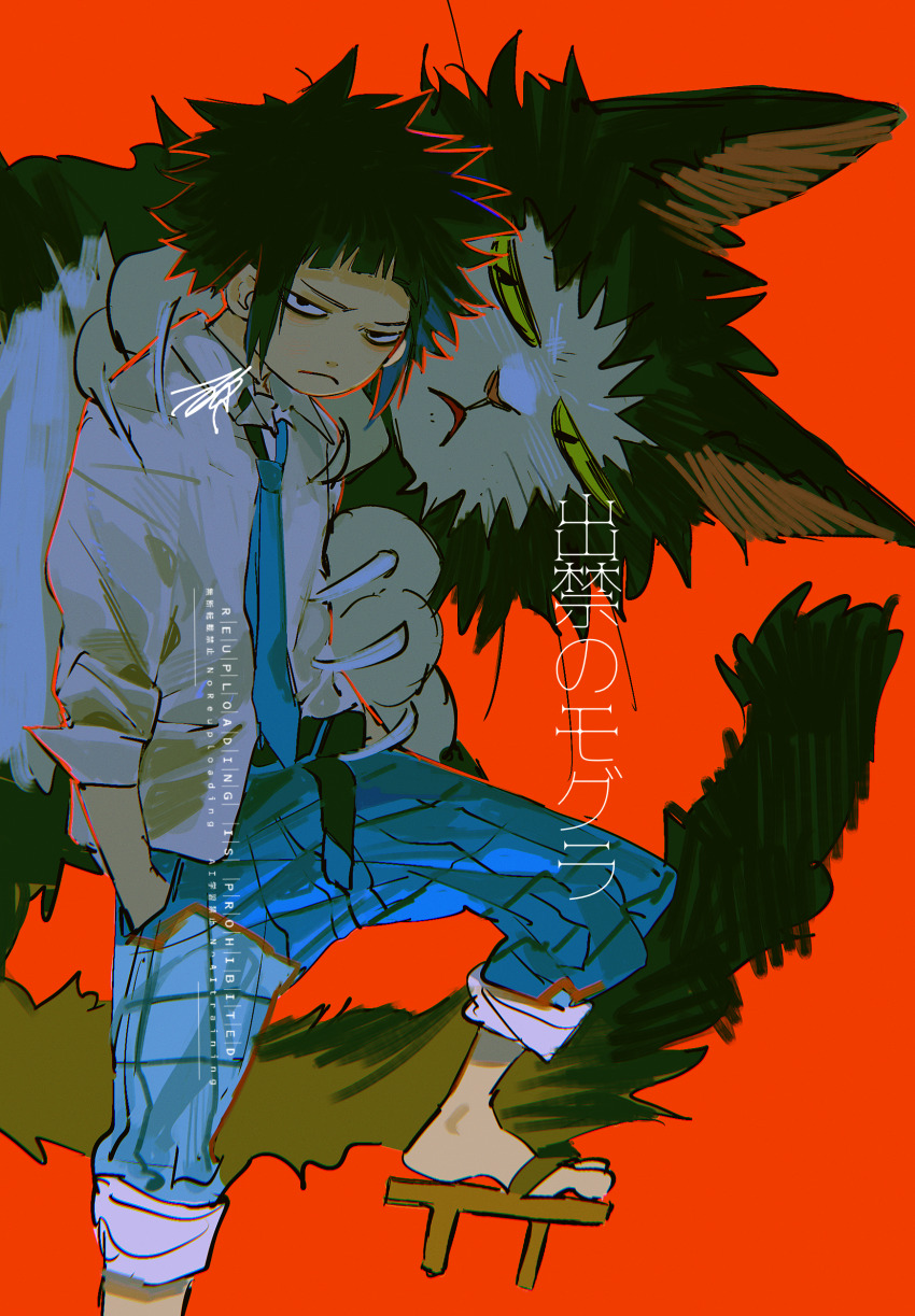 1boy, absurdres, animal, azisaiharumaki56, black_hair, blue_pants, cat, claws, collared_shirt, commentary_request, dekin_no_mogura, frown, hand_in_pocket, highres, male_focus, mogura_momoyuki, nabeshima_(dekin_no_mogura), necktie, oversized_animal, pants, red_background, sandals, shirt, short_hair, solo, spiked_hair, translation_request, white_shirt