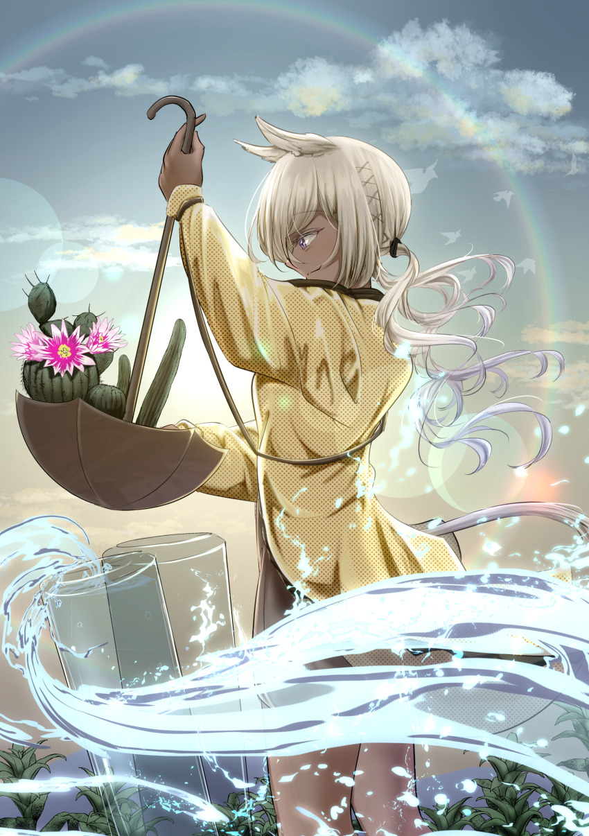 1girl, absurdres, animal_ears, arknights, cactus, camel_ears, camel_girl, camel_tail