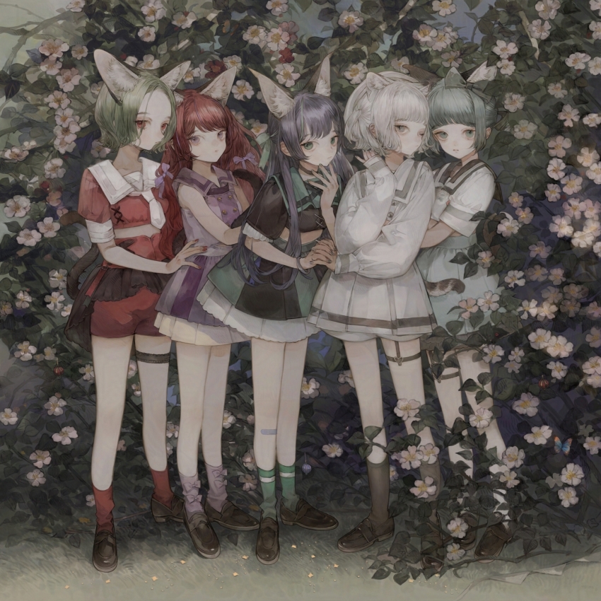 5girls, animal_ear_fluff, animal_ears, blue_eyes, cat_ears, cat_girl, cat_tail, chino_(valis)