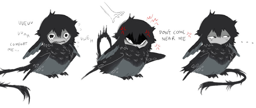 ..., anger_vein, angry, begging, bird, black_eyes, black_feathers, black_hair