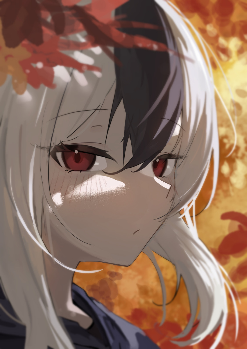 1girl, absurdres, autumn, autumn_leaves, black_hair, black_hoodie, blue_archive, close-up