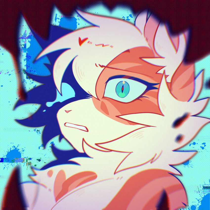 animal, animal_focus, animification, aqua_background, aqua_eyes, brightheart, buzhanggaodekenan, cat