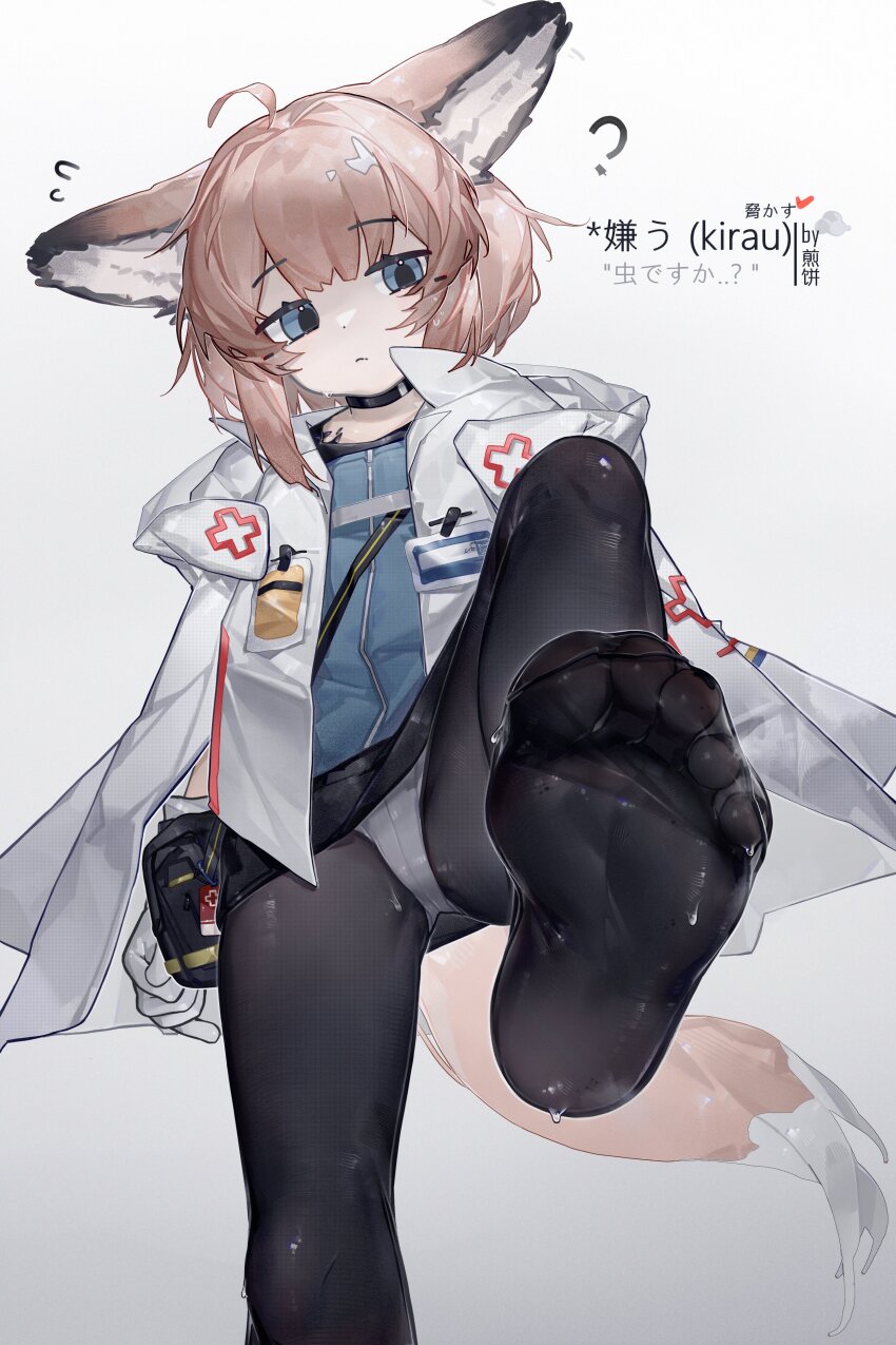 1girl, absurdres, ahoge, animal_ears, arknights, black_pantyhose, blue_eyes, cross