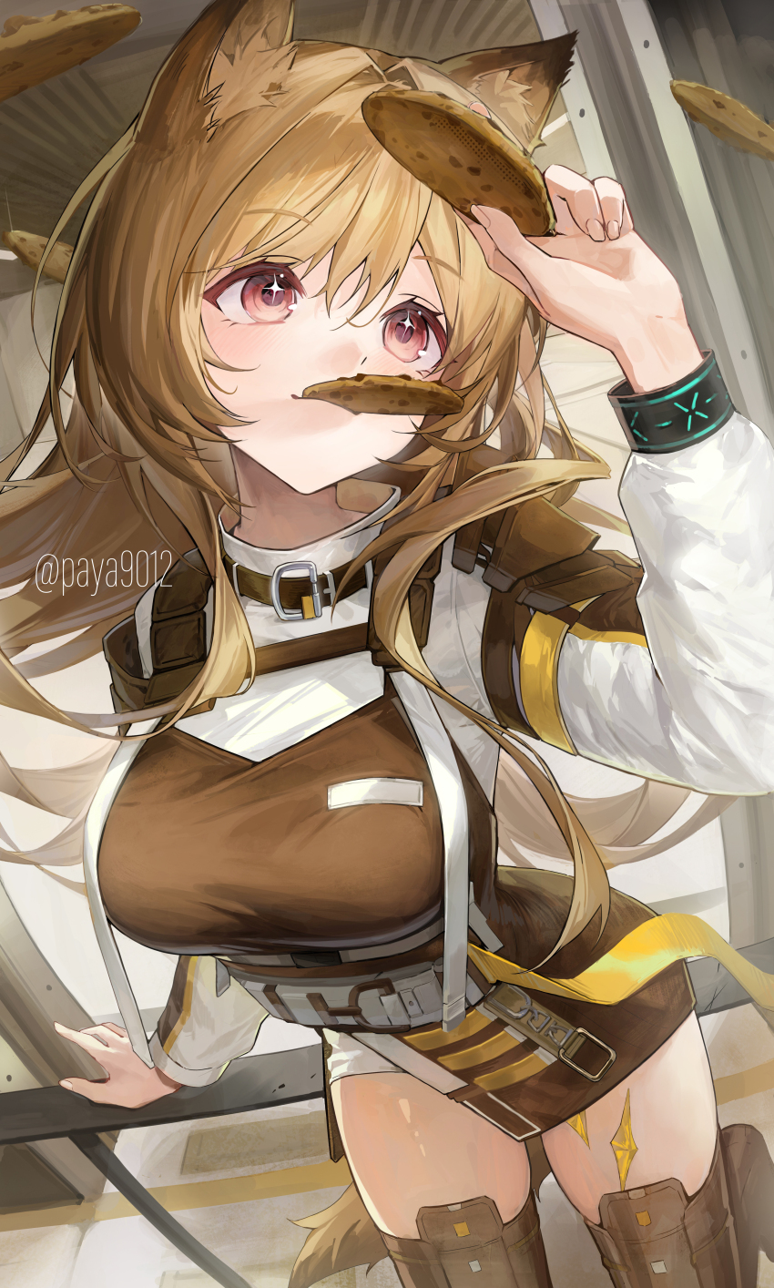 1girl, absurdres, against_railing, animal_ear_fluff, animal_ears, arknights, arm_up, belt