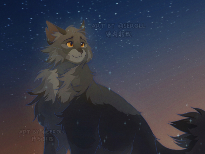 :3, animal, animal_ear_fluff, animal_focus, cat, chinese_commentary, commentary_request, cowboy_shot, dawn_of_the_clans, gray_wing_(warrior_cats), grey_cat, highres, orange_eyes, outdoors, seroll, sky, solo, sparkle, standing, star_(sky), starry_sky, warrior_cats, watermark, whiskers