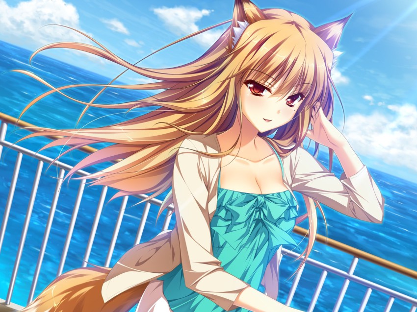 1girl, adjusting_hair, animal_ears, breasts, brown_hair, cleavage, cloud, collarbone, day, dutch_angle, female_focus, fox, fox_ears, fox_tail, game_cg, hand_in_own_hair, highres, jacket, long_hair, looking_at_viewer, medium_breasts, miyama_kon, mole, mole_under_eye, open_mouth, otomimi_infinity, red_eyes, sky, smile, solo, sunlight, tail, tank_top, water, yasaka_minato