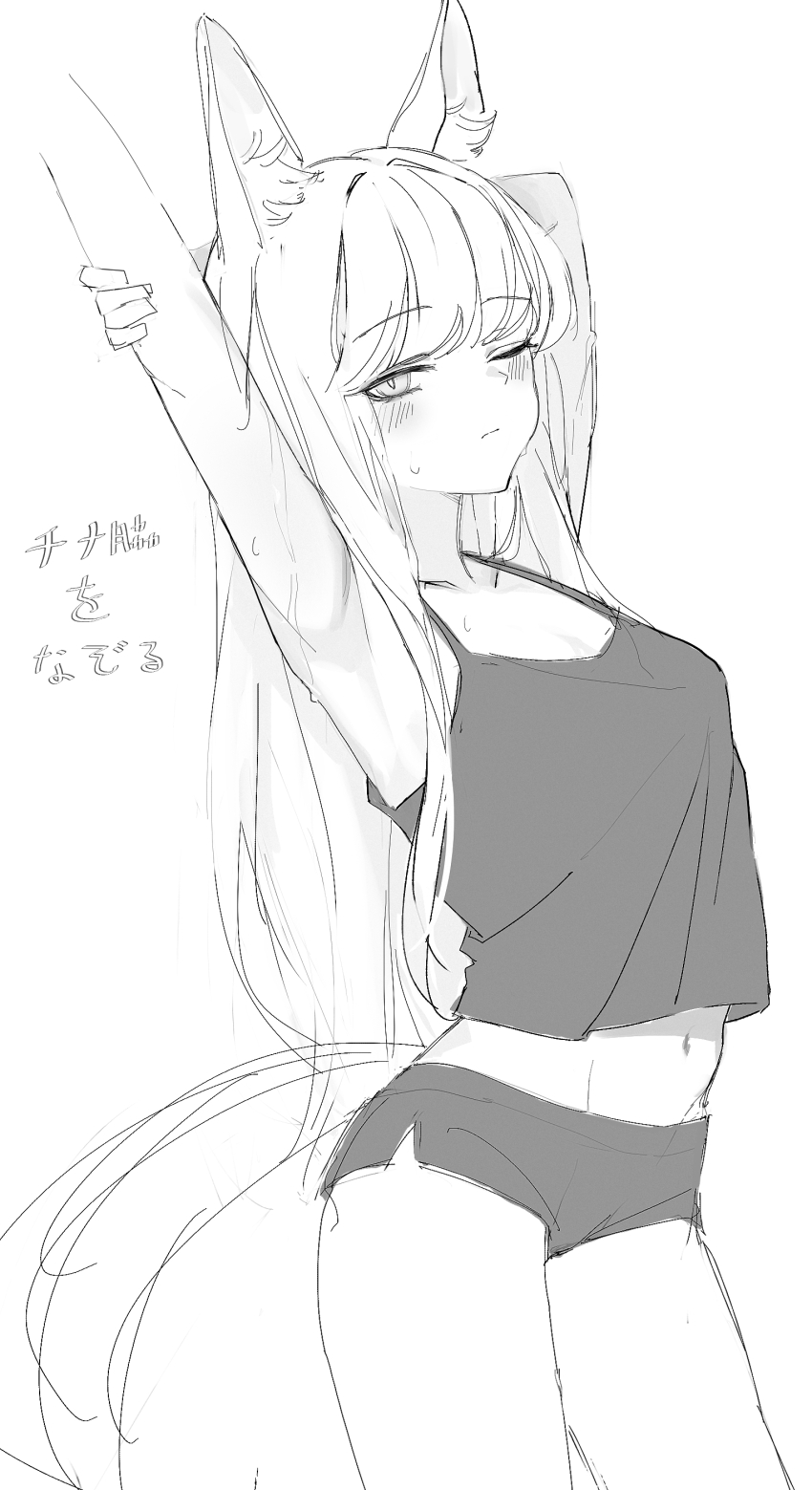 1girl, absurdres, alternate_costume, animal_ear_fluff, animal_ears, arknights, armpits, arms_up