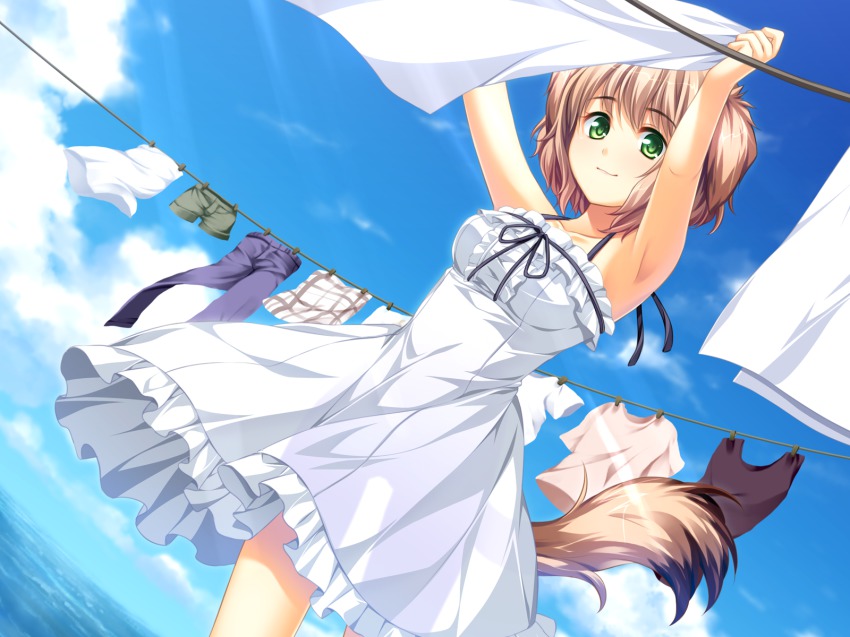 1girl, animal_ears, aobato_kobato, armpits, arms_up, brown_hair, clothesline, cloud