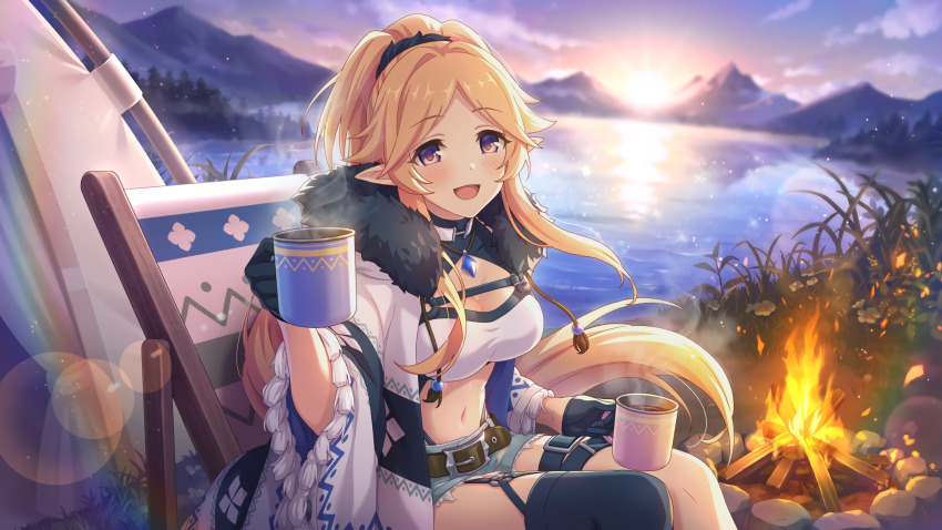 breasts, camping, elf, gloves, highres, looking_at_viewer, non-web_source, official_art