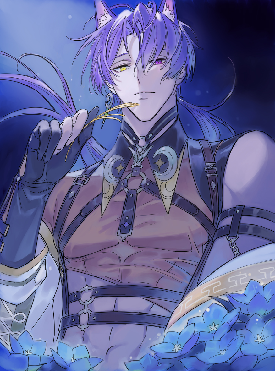 1boy, abs, animal_ears, bishounen, black_gloves, blue_flower, closed_mouth, d_n_bb1083, earrings, flower, fox_boy, fox_ears, gloves, hashtag-only_commentary, heterochromia, holding, jewelry, kuya_(nu_carnival), long_hair, long_sleeves, looking_at_viewer, low_ponytail, male_focus, mole, mole_under_eye, muscular, muscular_male, nu_carnival, pectorals, ponytail, purple_eyes, purple_hair, single_earring, solo, upper_body, yellow_eyes