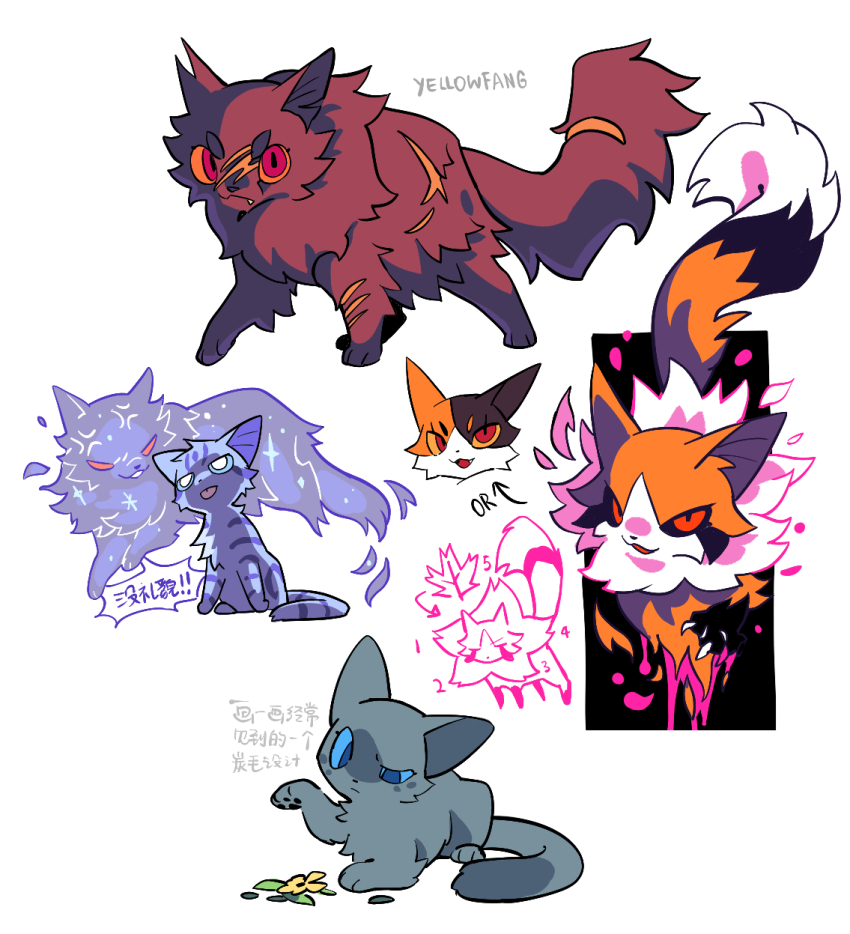 animal, animal_focus, black_sclera, blind, blue_eyes, blue_sclera, calico_(pattern), calico_cat