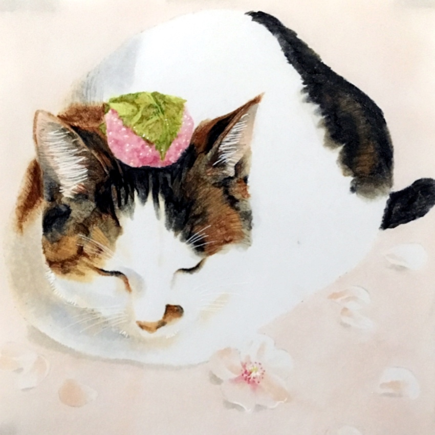 animal_focus, cat, closed_eyes, commentary_request, facing_viewer, flower, food_request, full_body