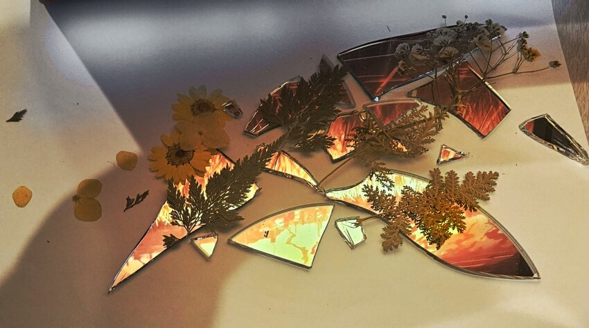 broken_glass, flower, fly_my_wings, glass, glass_shards, highres, leaf, limbus_company, no_humans, official_art_inset, petals, project_moon, reflection, single_wing, sixgod, sunflower, symbolism, white_flower, wings, yellow_flower, yellow_petals