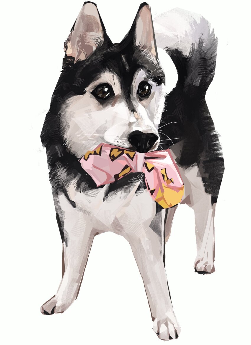 animal_focus, commentary, dog, english_commentary, facing_viewer, full_body, highres, holding