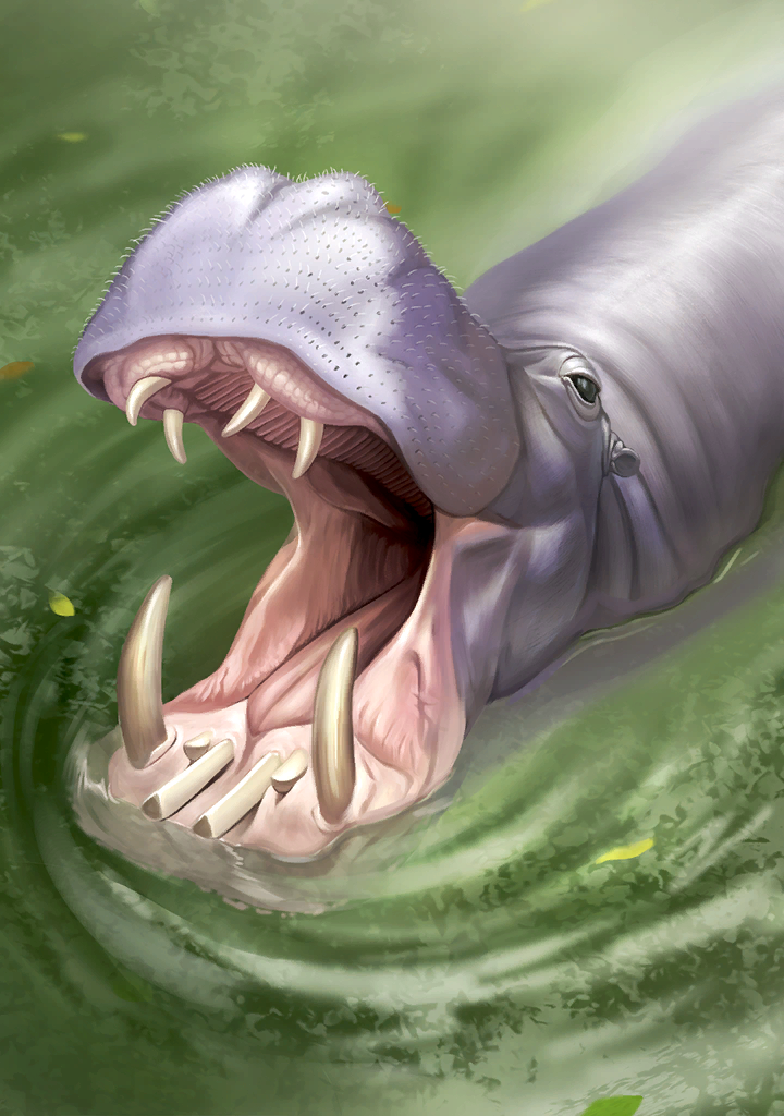 animal, animal_focus, big_mouth, black_eyes, colored_skin, green_water, grey_skin, hippopotamus, hippopotamus_gorgops, hippopotamus_gorgops_(kemono_friends), in_water, kemono_friends, kemono_friends_3, leaf, nature, nostrils, official_art, open_mouth, outdoors, sharp_teeth, shiny_skin, teeth, tongue, tusks, water