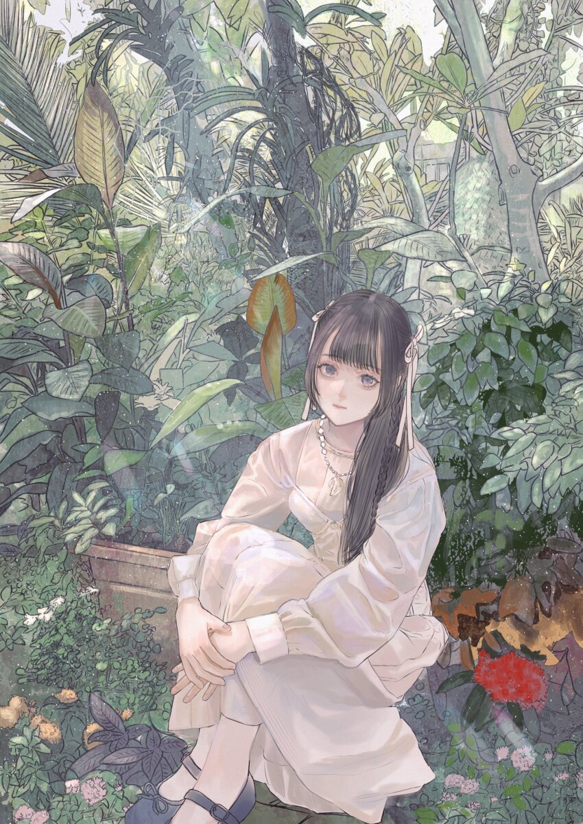 1girl, black_hair, black_shoes, braid, closed_mouth, dress, full_body, grey_eyes, hair_ribbon, hands_on_own_legs, highres, jewelry, knees_up, lolita_fashion, long_hair, long_sleeves, mary_janes, nature, necklace, on_ground, original, pantyhose, plant, purupurualiens, ribbon, shoes, single_braid, sitting, solo, white_dress, white_pantyhose, white_ribbon