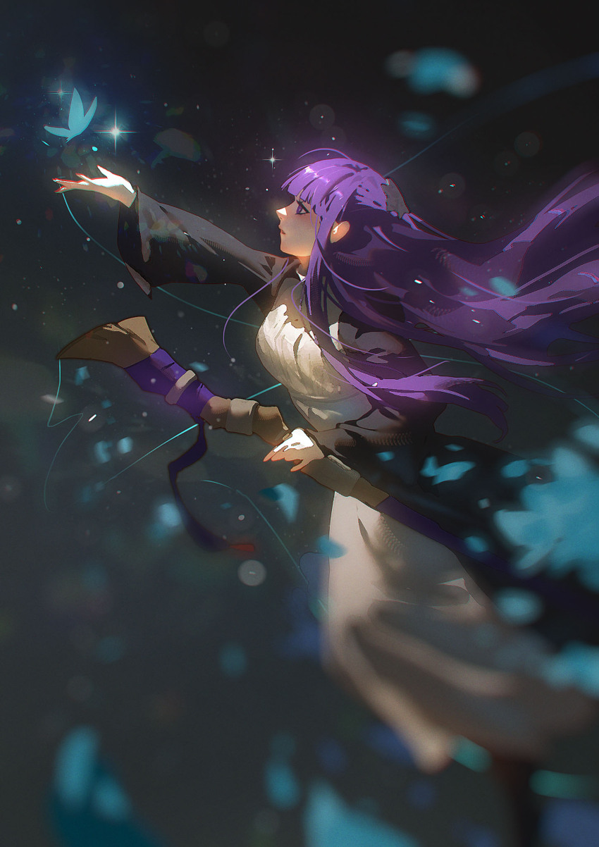 1girl, black_robe, blunt_bangs, bug, butterfly, commentary, dress, fern_(sousou_no_frieren)